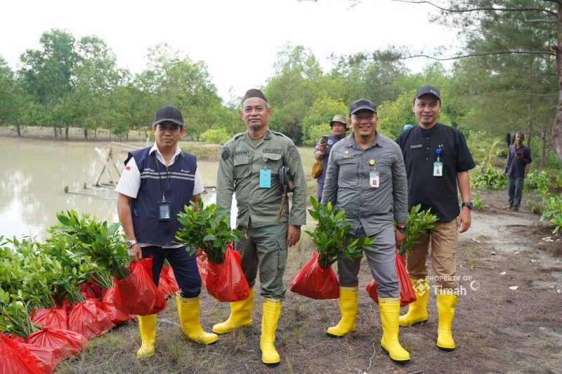 Jaga Ekosistem Pesisir PT TIMAH Tbk Tanam Belasan Ribu Mangrove di Kundur dan Meranti
